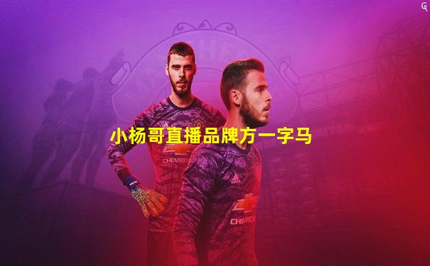 小杨哥直播品牌方一字马