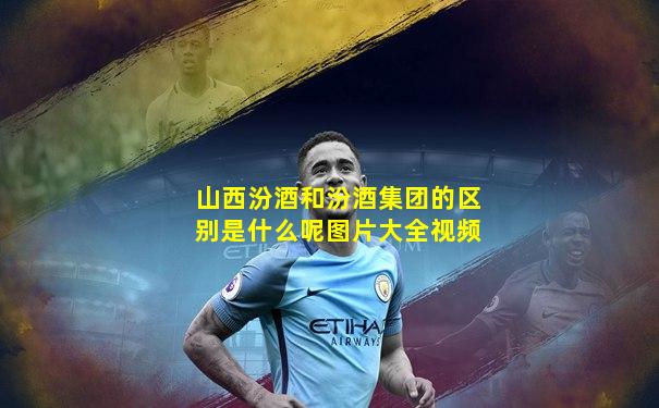 山西汾酒和汾酒集团的区别是什么呢图片大全视频