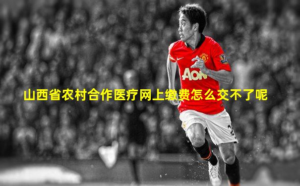山西省农村合作医疗网上缴费怎么交不了呢