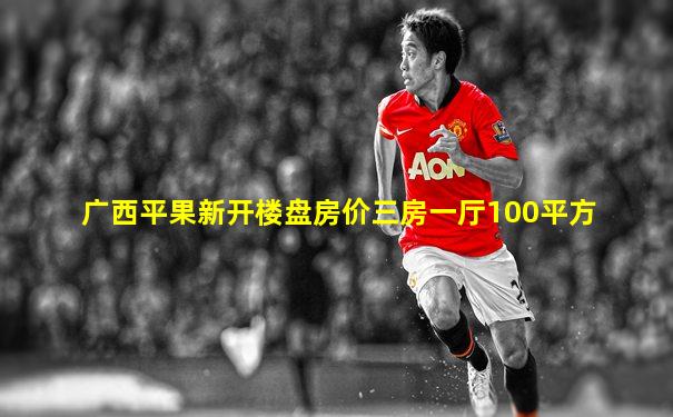 广西平果新开楼盘房价三房一厅100平方