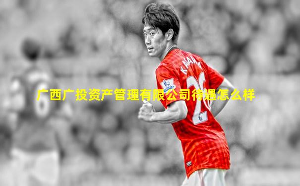 广西广投资产管理有限公司待遇怎么样