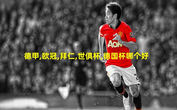 德甲,欧冠,拜仁,世俱杯,德国杯哪个好