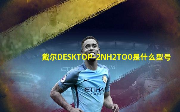 戴尔DESKTOP-2NH2TO0是什么型号