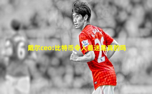 戴尔ceo:比特币令人着迷是真的吗