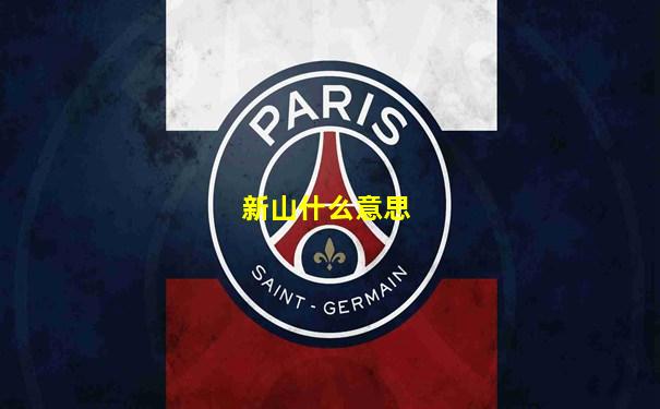 新山什么意思