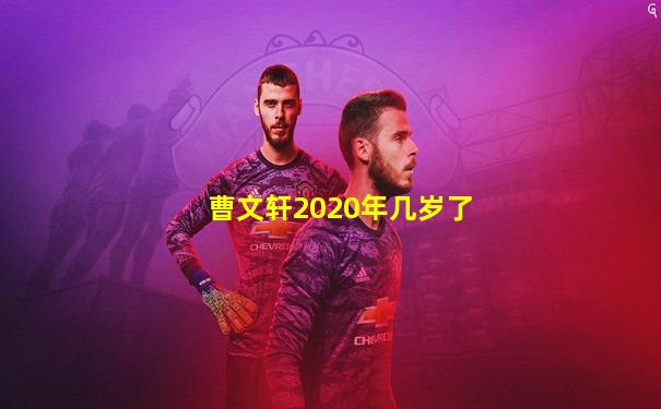 曹文轩2020年几岁了