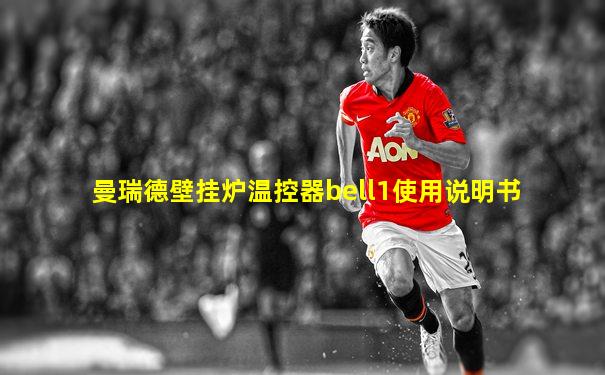 曼瑞德壁挂炉温控器bell1使用说明书