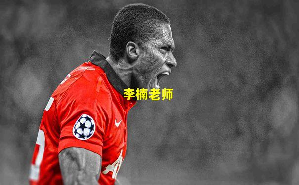 李楠老师