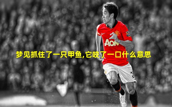 梦见抓住了一只甲鱼,它咬了一口什么意思