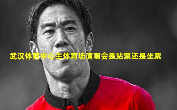 武汉体育中心主体育场演唱会是站票还是坐票