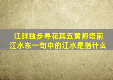 江畔独步寻花其五黄师塔前江水东一句中的江水是指什么