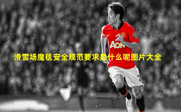 滑雪场魔毯安全规范要求是什么呢图片大全