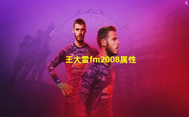 王大雷fm2008属性