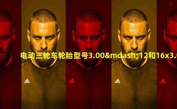 电动三轮车轮胎型号3.00—12和16x3.0一样吗