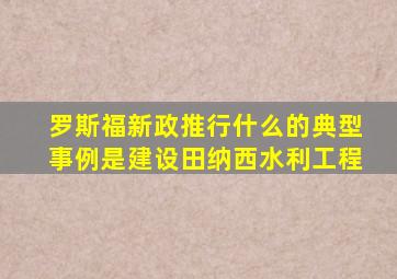 罗斯福新政推行什么的典型事例是建设田纳西水利工程