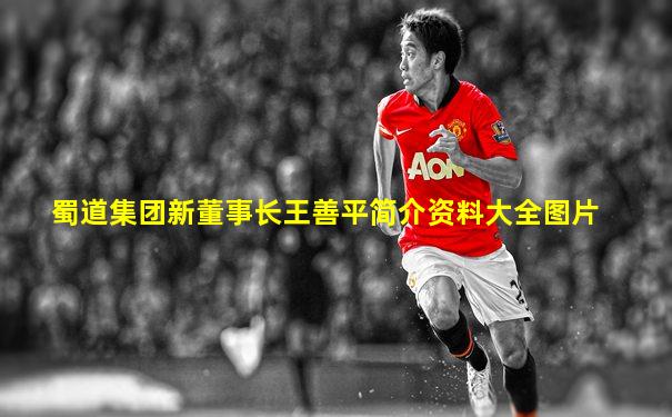 蜀道集团新董事长王善平简介资料大全图片