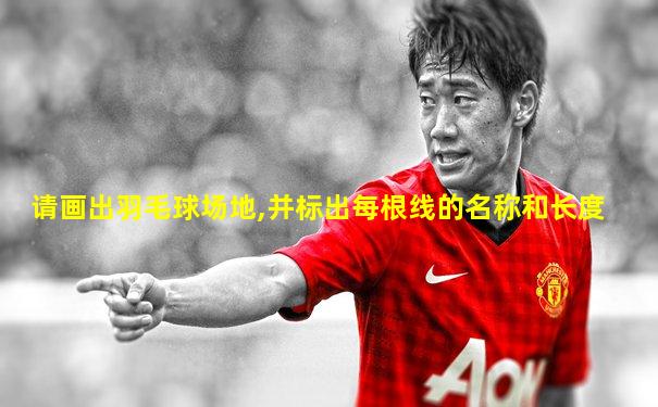请画出羽毛球场地,并标出每根线的名称和长度
