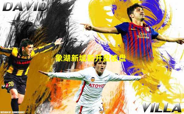 象湖新城新开盘楼盘