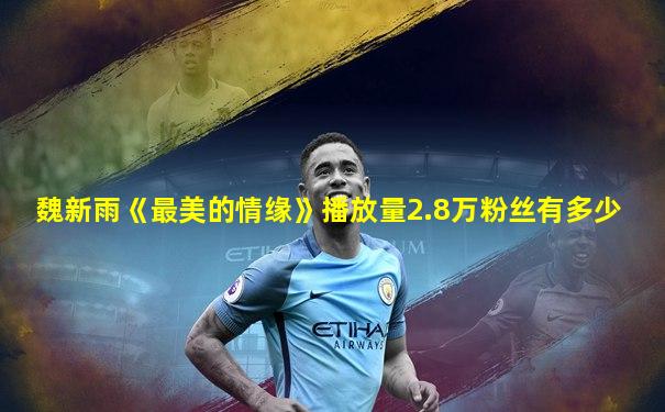 魏新雨《最美的情缘》播放量2.8万粉丝有多少