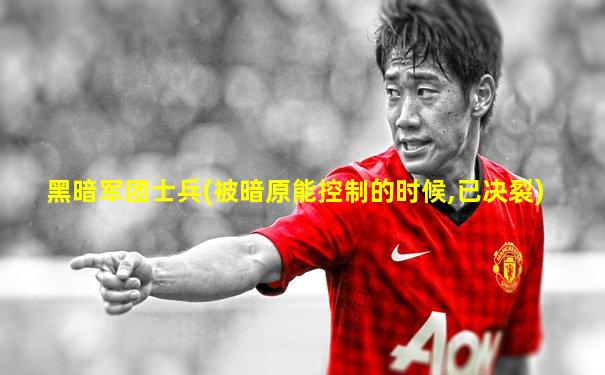 黑暗军团士兵(被暗原能控制的时候,已决裂)